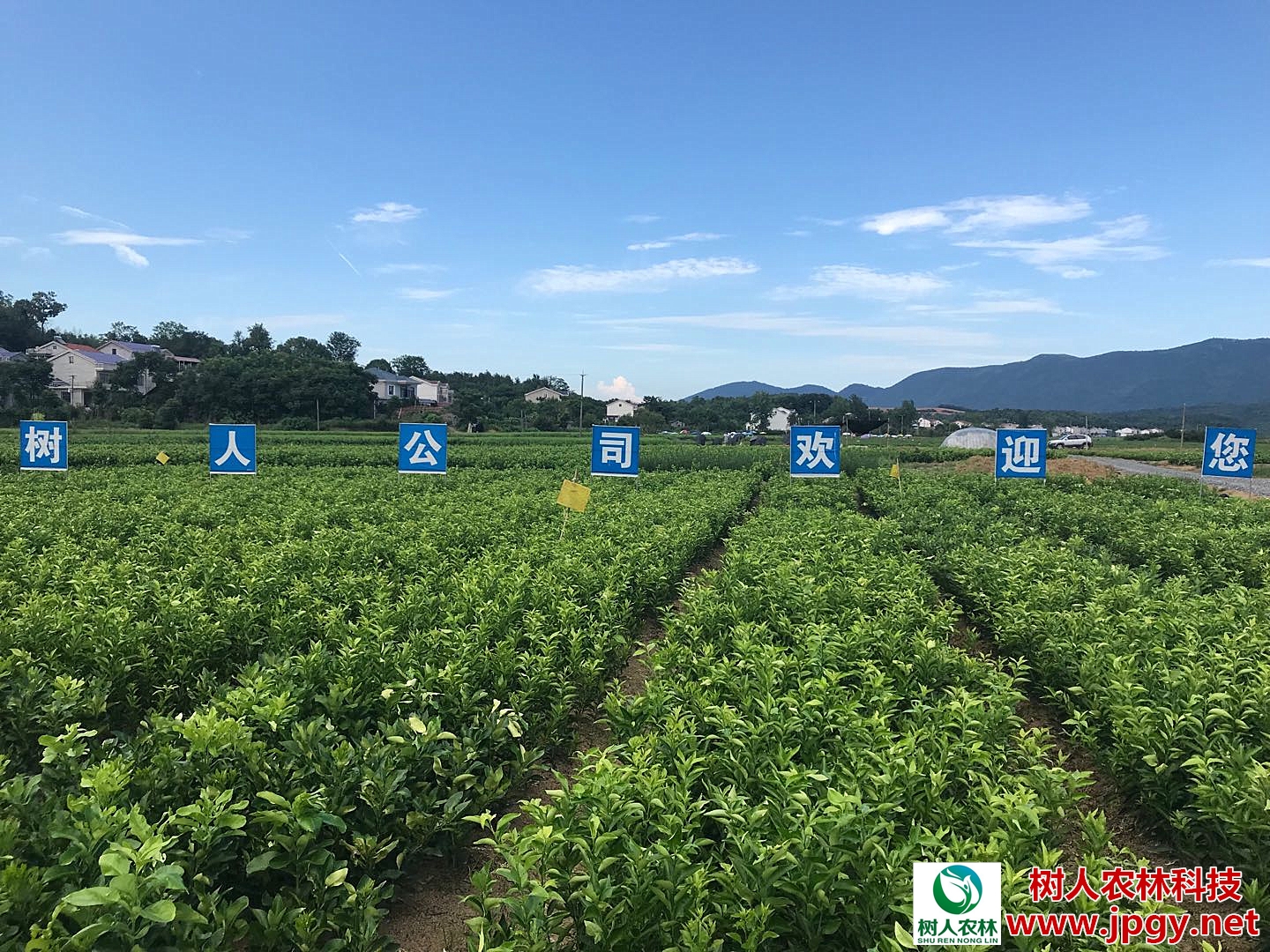 經(jīng)歷2018年市場寒冬洗禮，未來柑橘產(chǎn)業(yè)誰主沉?。? />
              </a></div>
            <div   id=