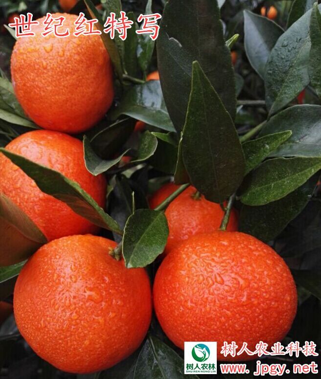 湖南省常德亞特農(nóng)公司