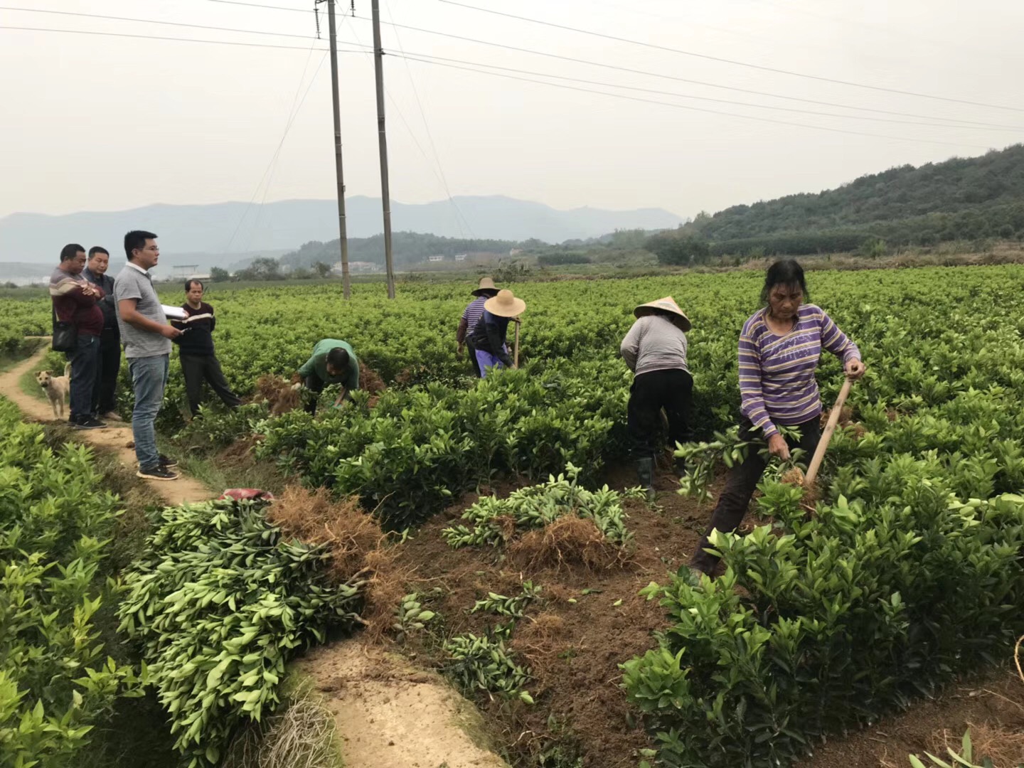 現(xiàn)代農(nóng)業(yè)企業(yè)上市座談會長沙舉行 探討上市難點