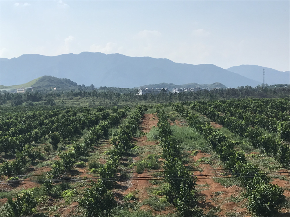 如何認識30年農(nóng)村改革發(fā)展的巨大成就