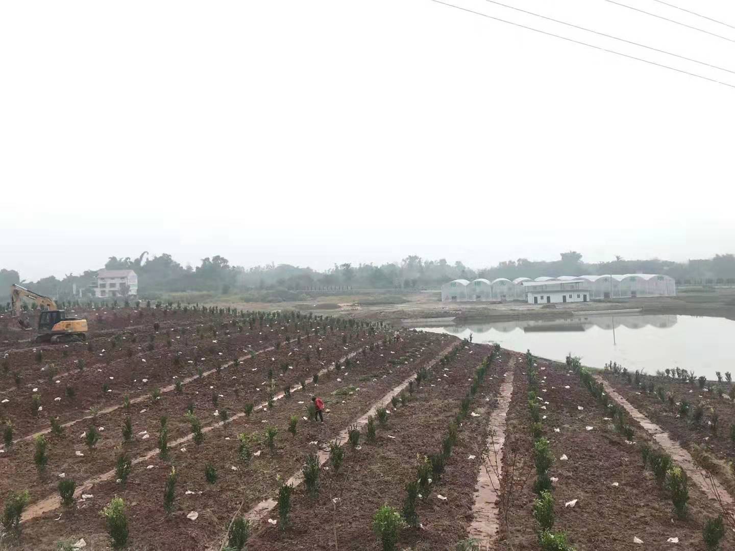 隆昌樹人公司優(yōu)質(zhì)柑橘產(chǎn)業(yè)基地順利通過驗(yàn)收