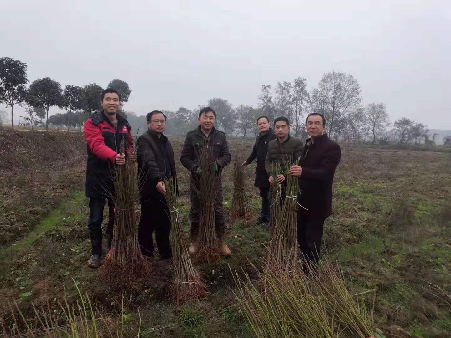 積極參與扶貧攻堅(jiān)戰(zhàn)，樹人公司在行動(dòng)