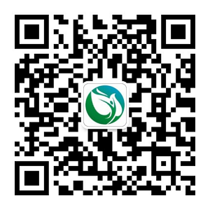 網(wǎng)站公告