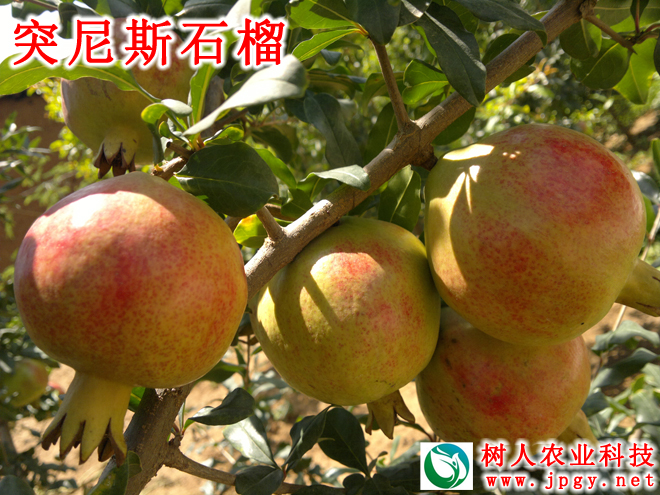 常德市萬路達物流股份有限公司,常德危險品運輸服務(wù),普貨運輸服務(wù),物流生活服務(wù)哪里好