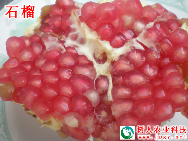 常德市萬路達物流股份有限公司,常德危險品運輸服務(wù),普貨運輸服務(wù),物流生活服務(wù)哪里好