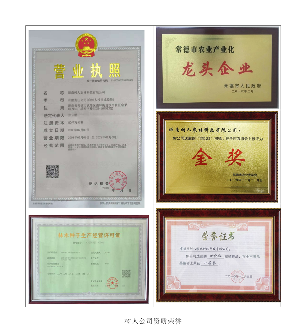 湖南樹人農(nóng)林科技有限公司,湖南柑橘品種銷售,中國(guó)果樹網(wǎng),常綠果樹類哪里好