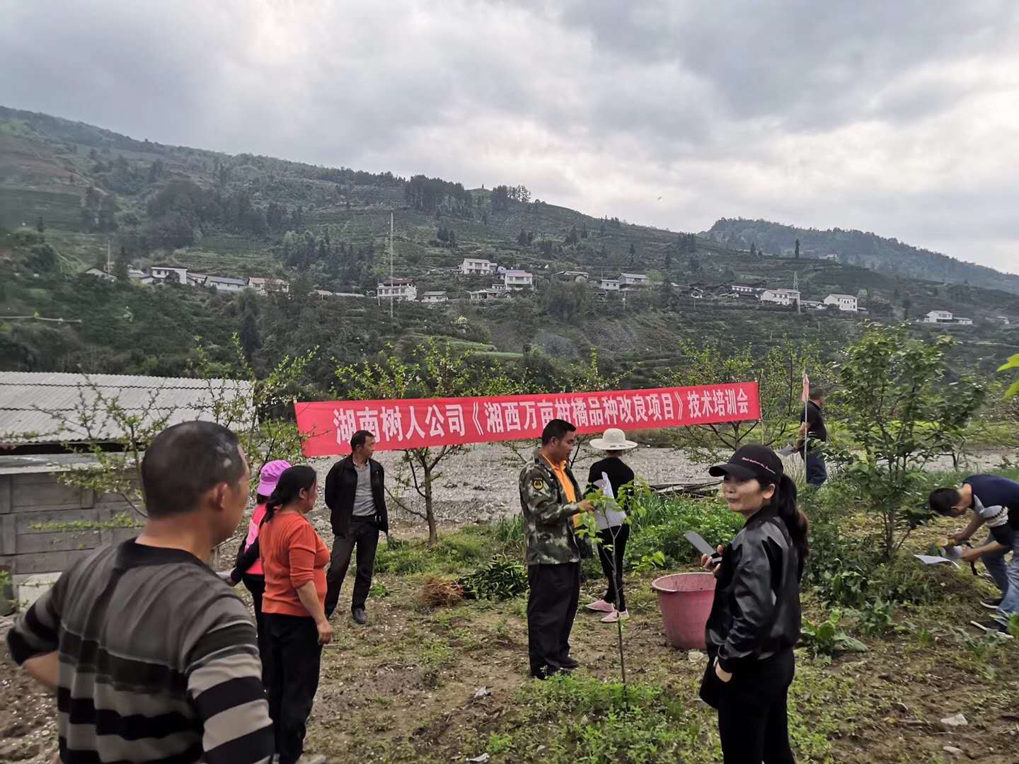 湖南樹人農(nóng)林科技有限公司,湖南柑橘品種銷售,中國果樹網(wǎng),常綠果樹類哪里好