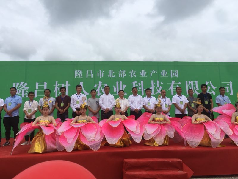 湖南樹人農(nóng)林科技有限公司,湖南柑橘品種銷售,中國果樹網(wǎng),常綠果樹類哪里好