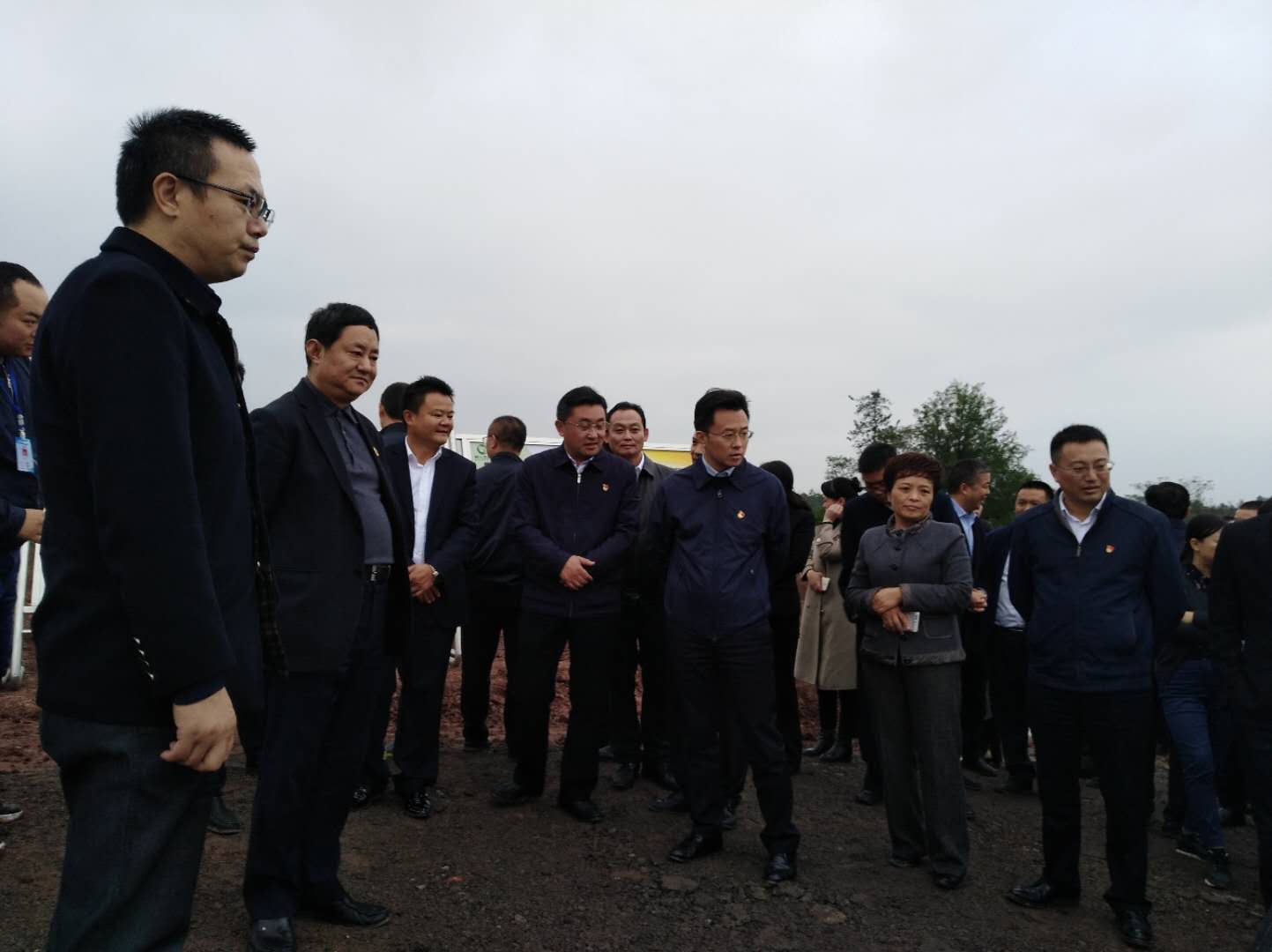 湖南樹人農(nóng)林科技有限公司,湖南柑橘品種銷售,中國果樹網(wǎng),常綠果樹類哪里好