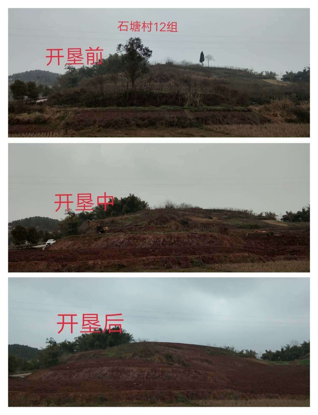 湖南樹人農(nóng)林科技有限公司,湖南柑橘品種銷售,中國果樹網(wǎng),常綠果樹類哪里好