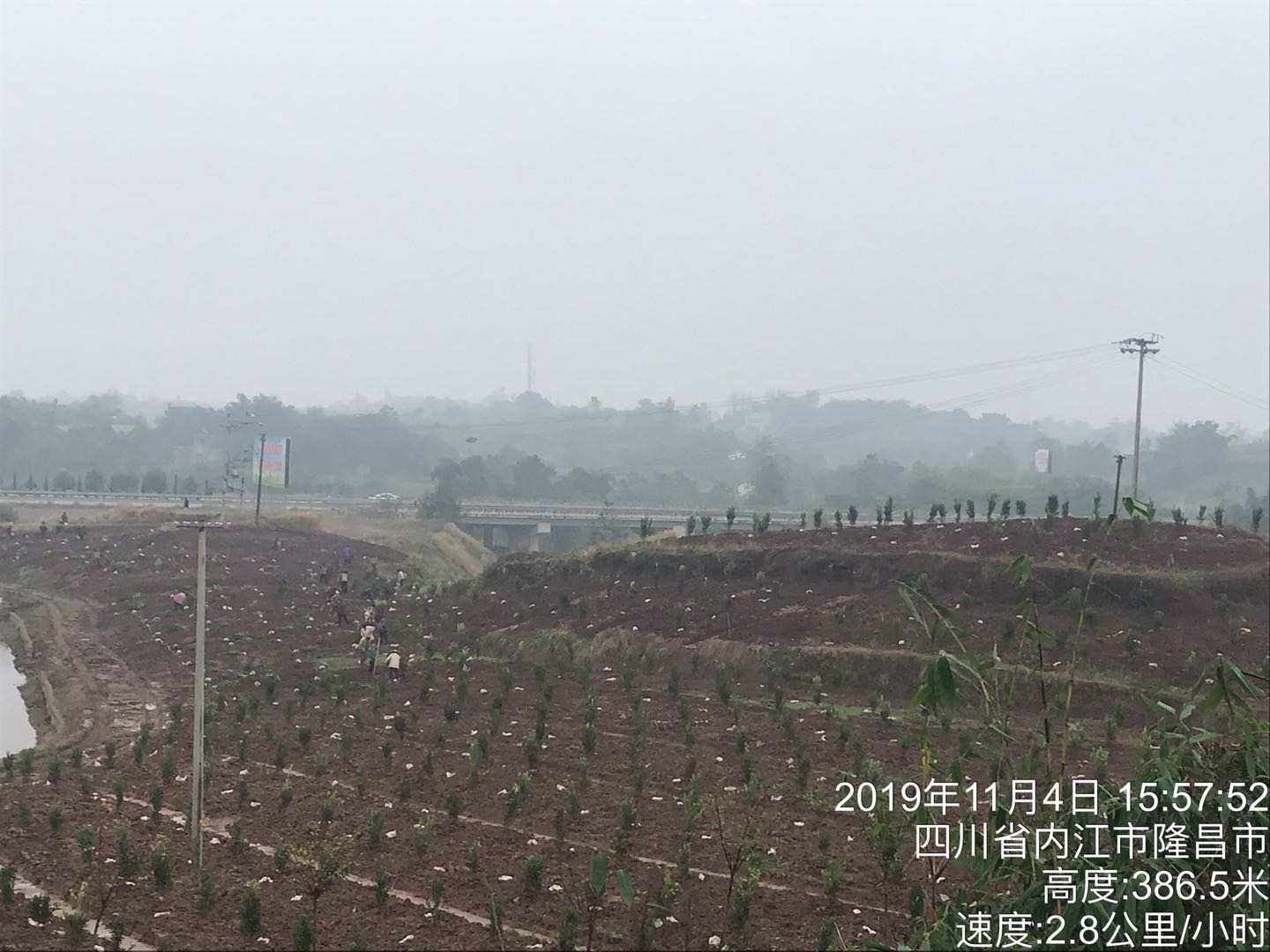 湖南樹人農(nóng)林科技有限公司,湖南柑橘品種銷售,中國果樹網(wǎng),常綠果樹類哪里好