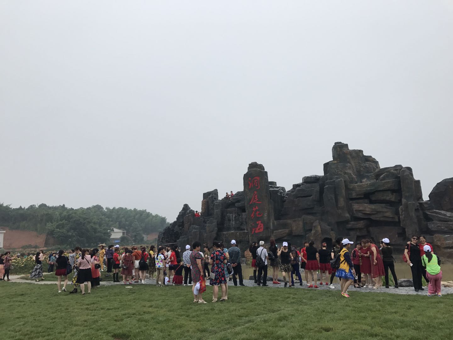 湖南樹人農(nóng)林科技有限公司,湖南柑橘品種銷售,中國果樹網(wǎng),常綠果樹類哪里好