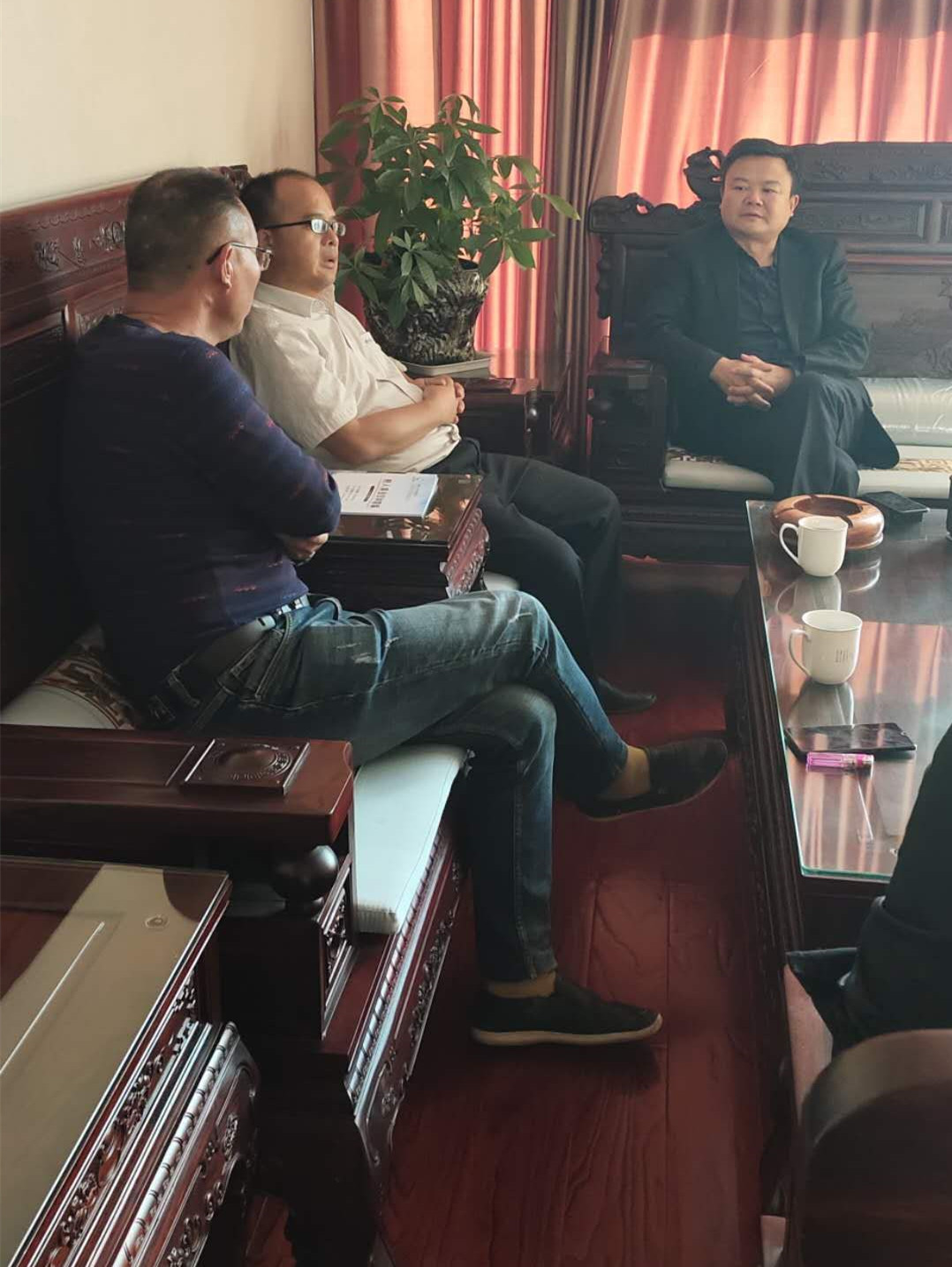 湖南樹人農(nóng)林科技有限公司,湖南柑橘品種銷售,中國(guó)果樹網(wǎng),常綠果樹類哪里好