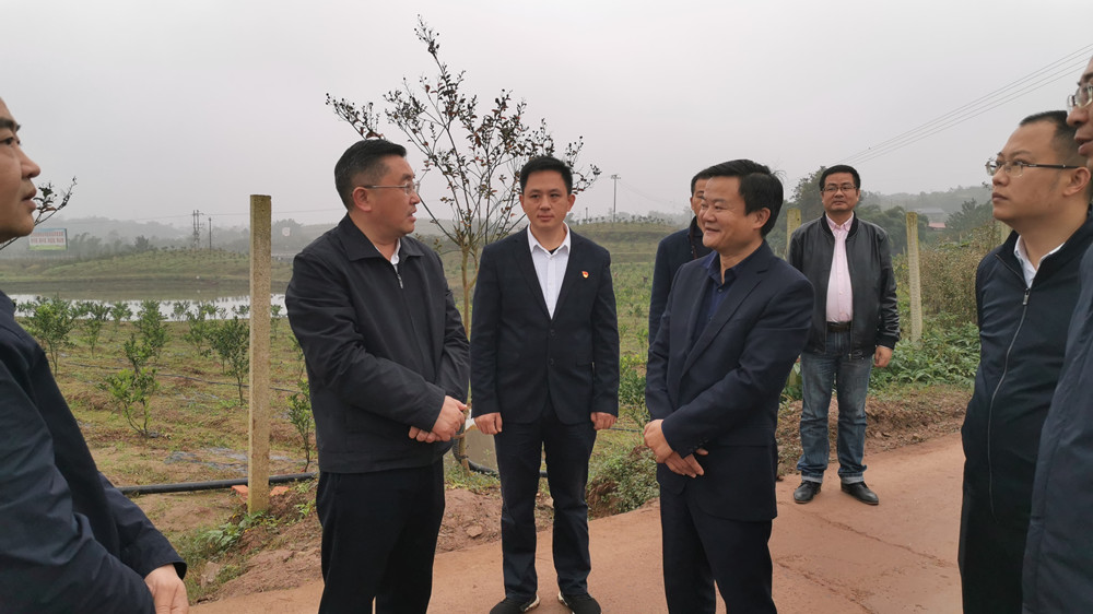 湖南樹(shù)人農(nóng)林科技有限公司,湖南柑橘品種銷售,中國(guó)果樹(shù)網(wǎng),常綠果樹(shù)類哪里好