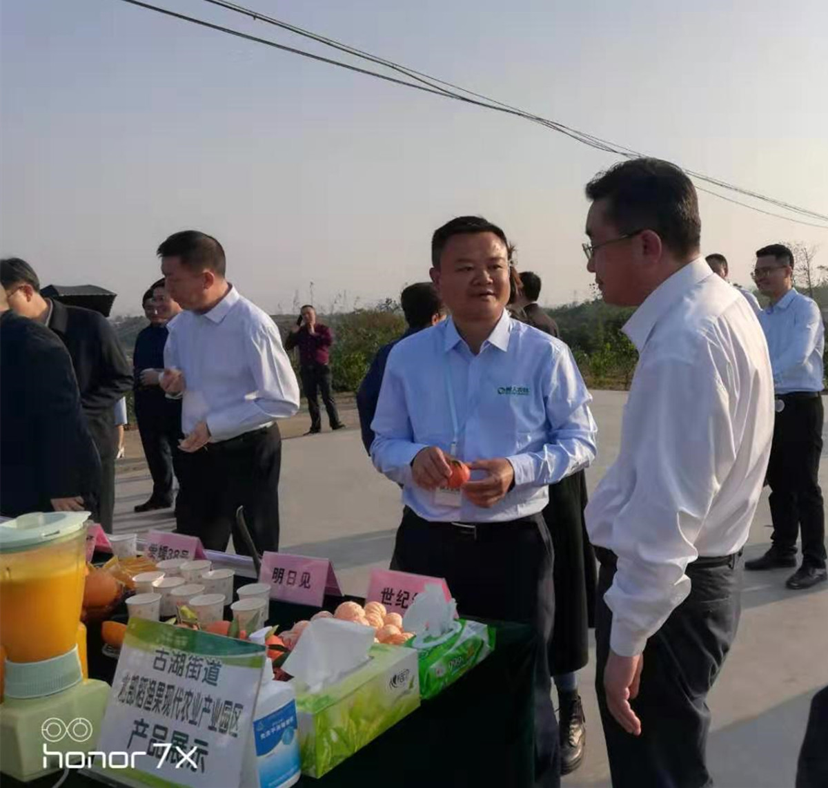 湖南樹人農(nóng)林科技有限公司,湖南柑橘品種銷售,中國果樹網(wǎng),常綠果樹類哪里好