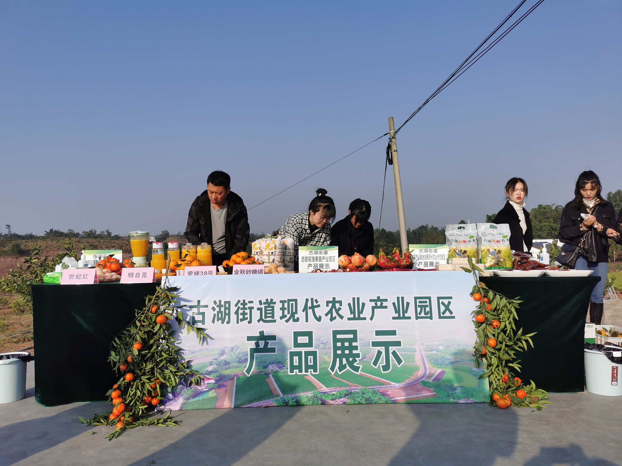 湖南樹人農(nóng)林科技有限公司,湖南柑橘品種銷售,中國果樹網(wǎng),常綠果樹類哪里好
