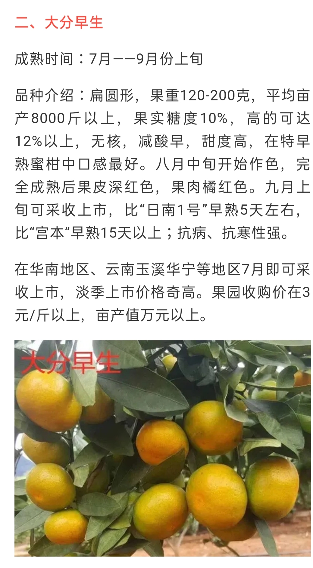 網(wǎng)站公告