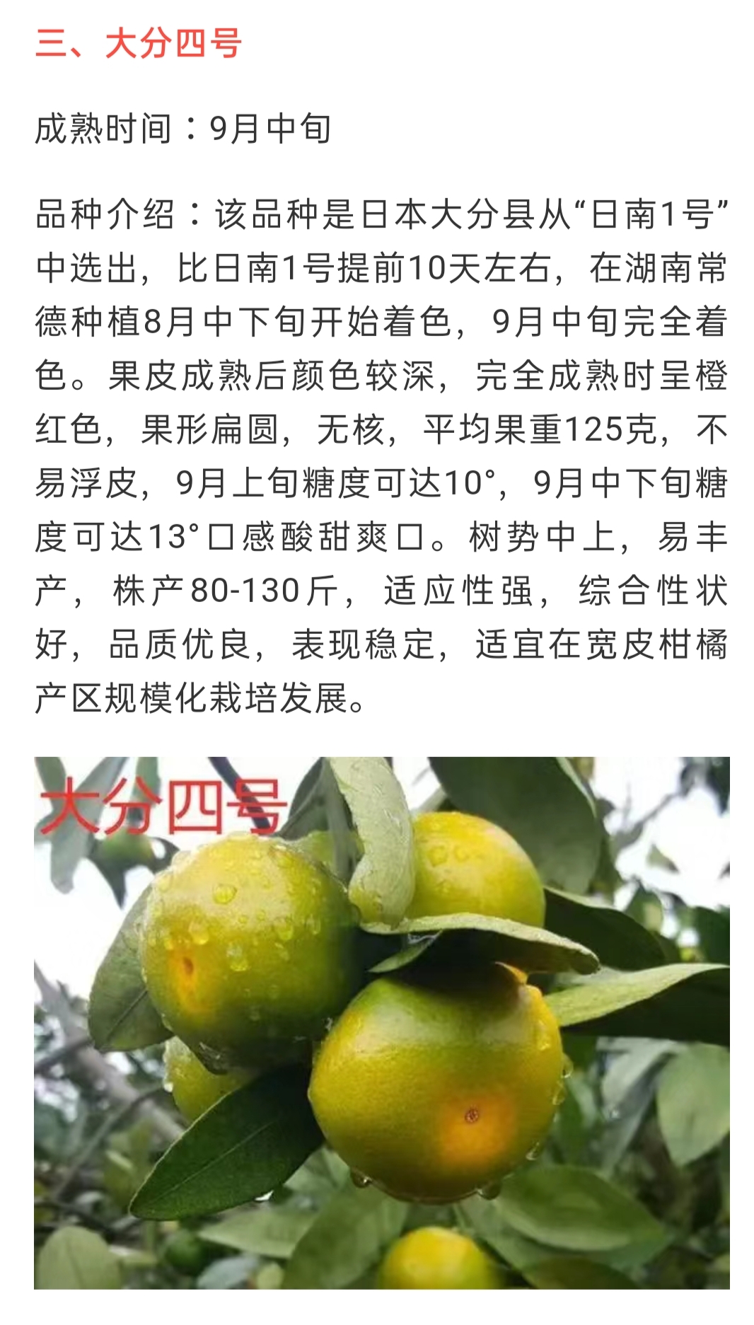 網(wǎng)站公告