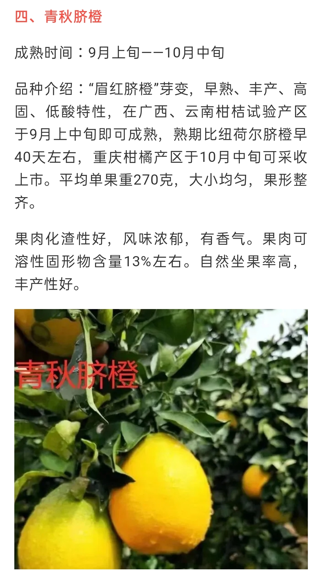 網(wǎng)站公告