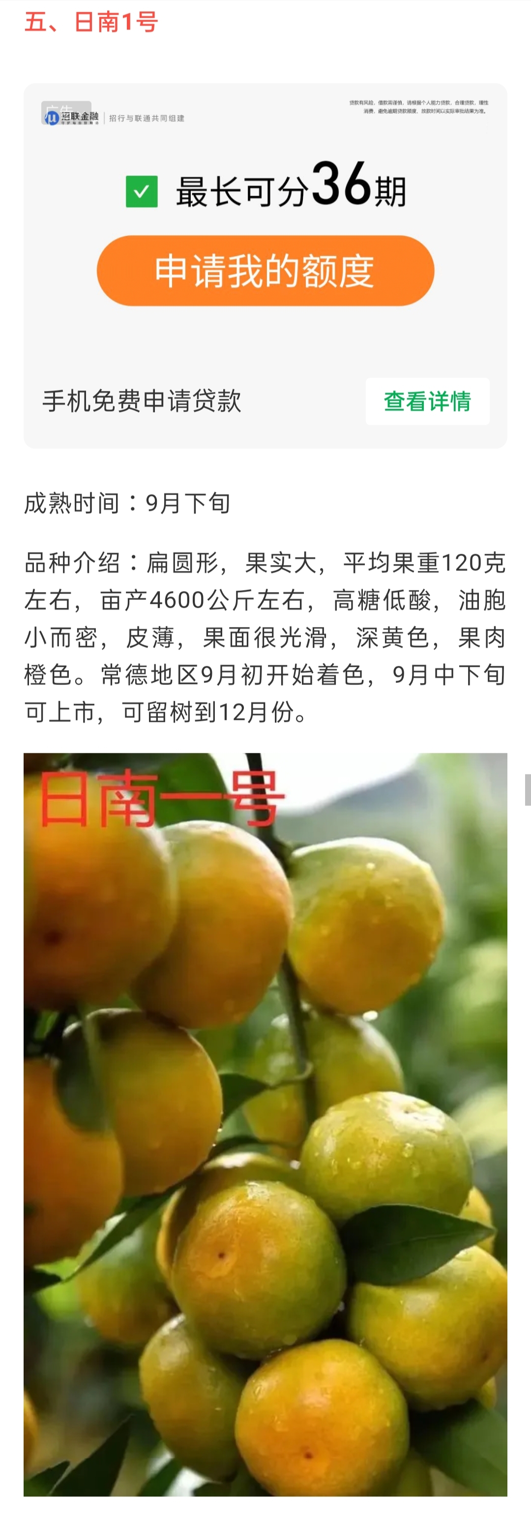 網(wǎng)站公告