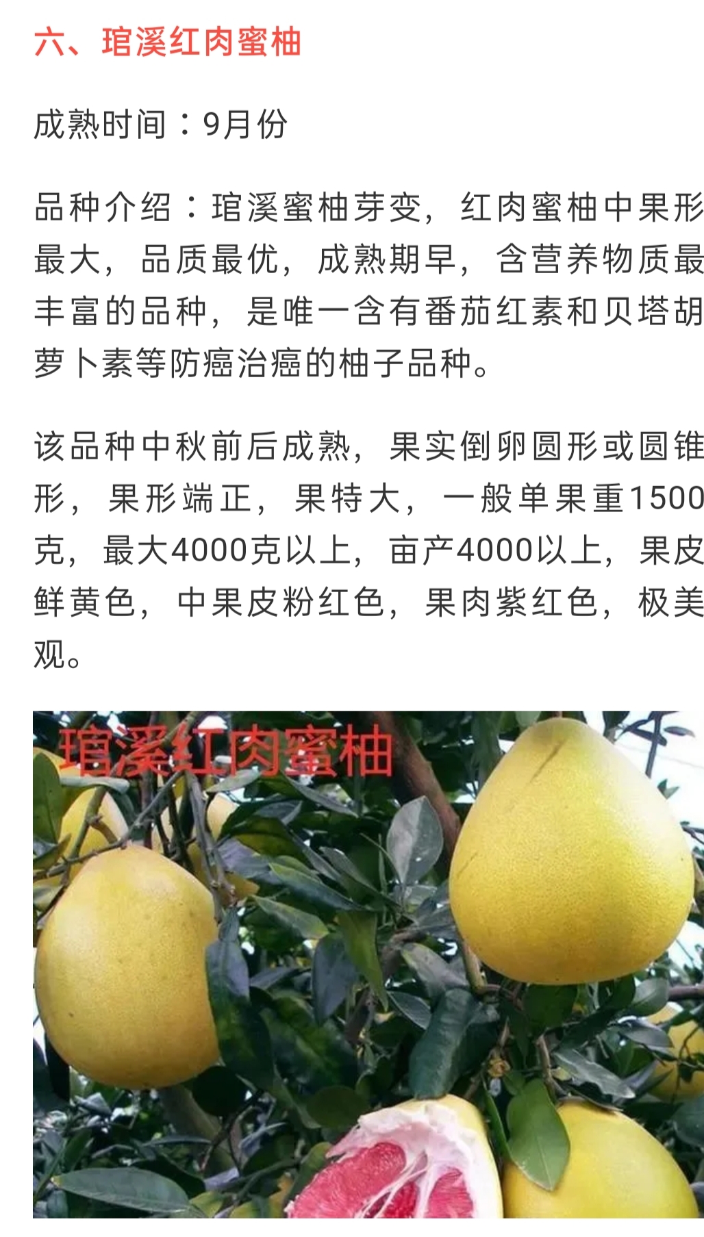 網(wǎng)站公告