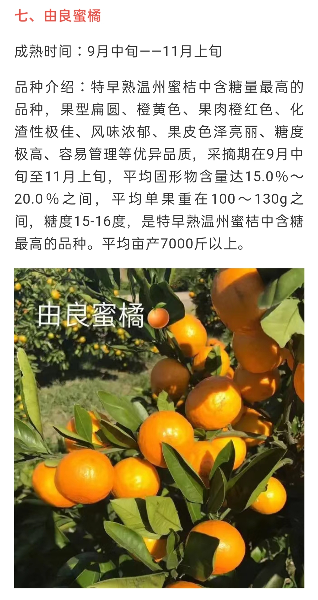 網(wǎng)站公告