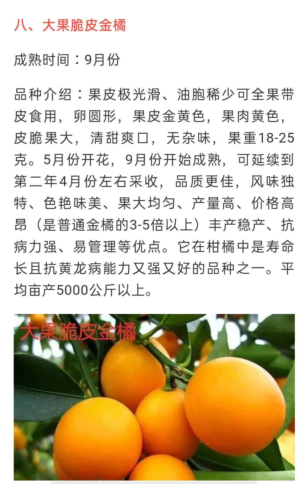 網(wǎng)站公告
