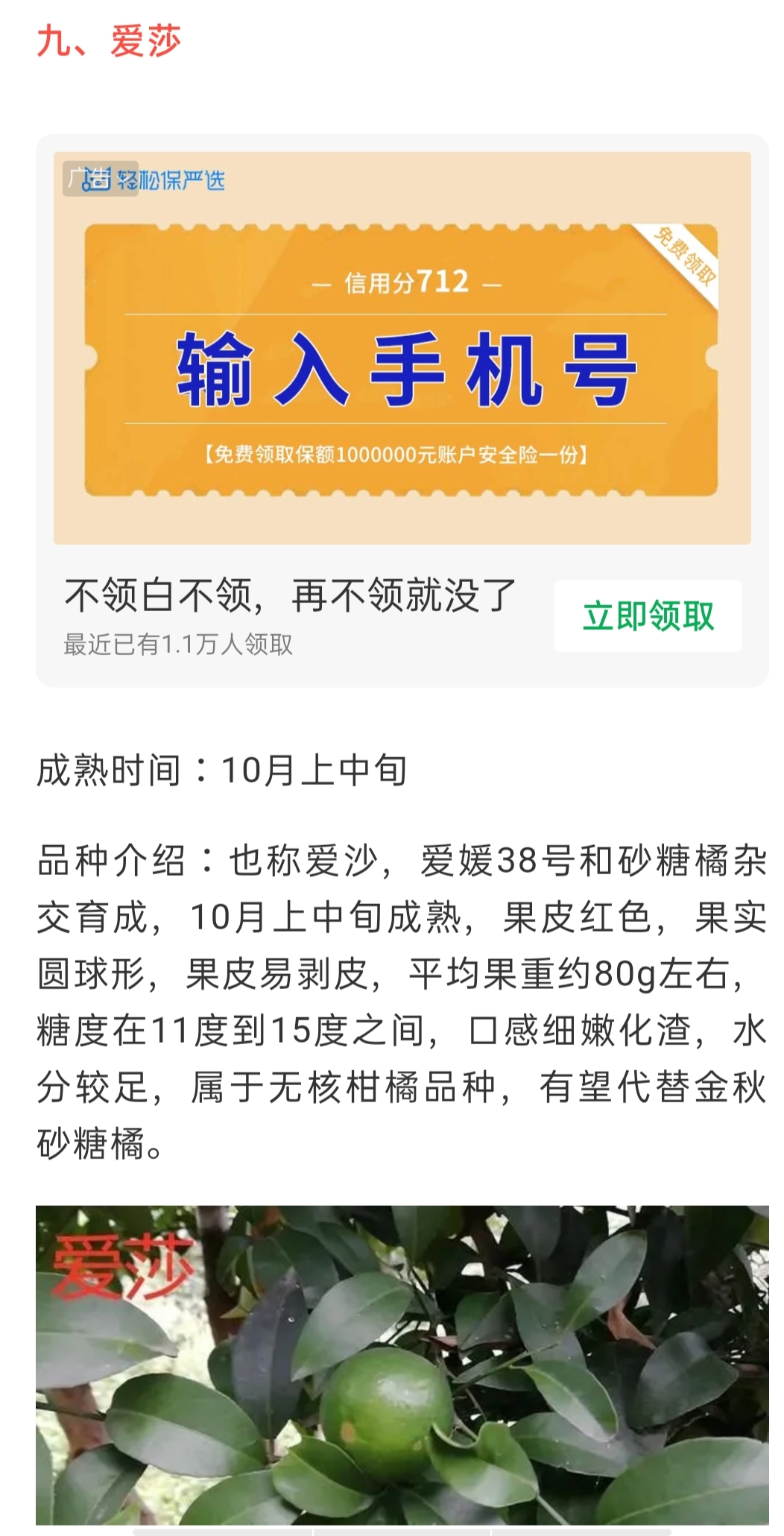 網(wǎng)站公告