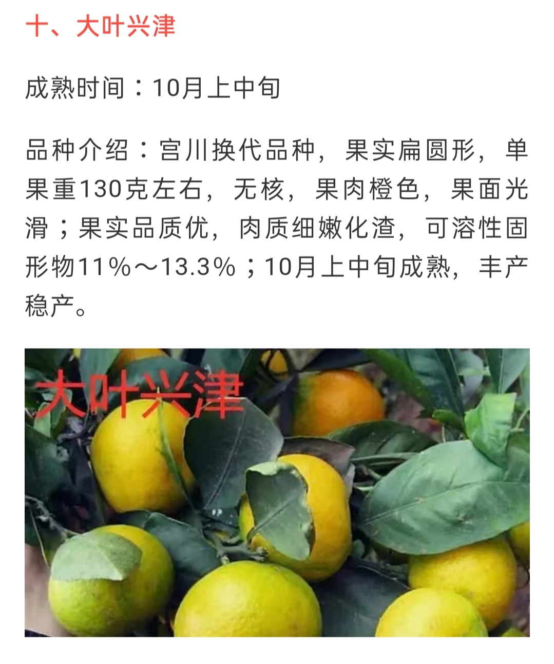 網(wǎng)站公告