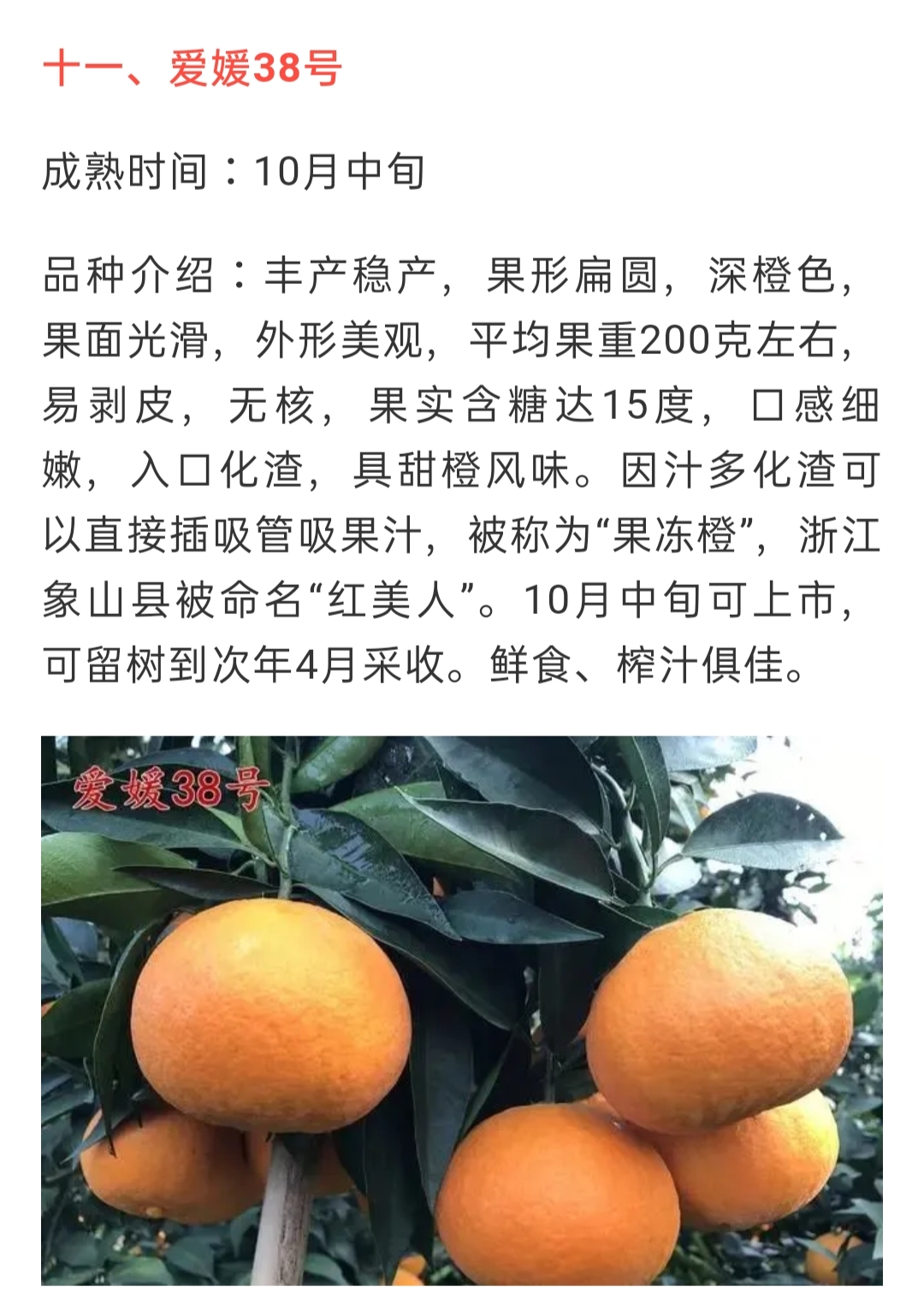網(wǎng)站公告