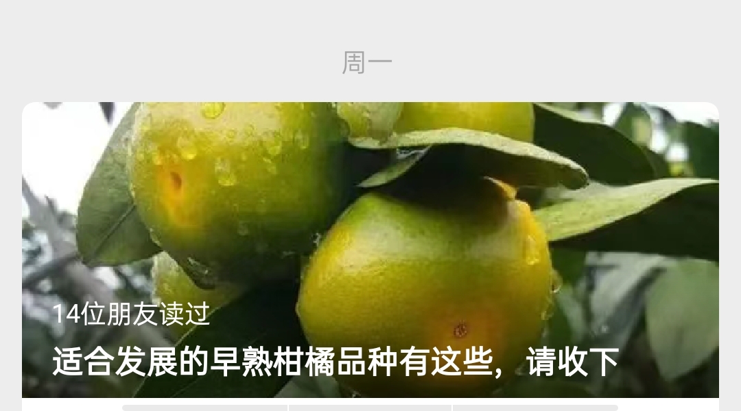 網(wǎng)站公告