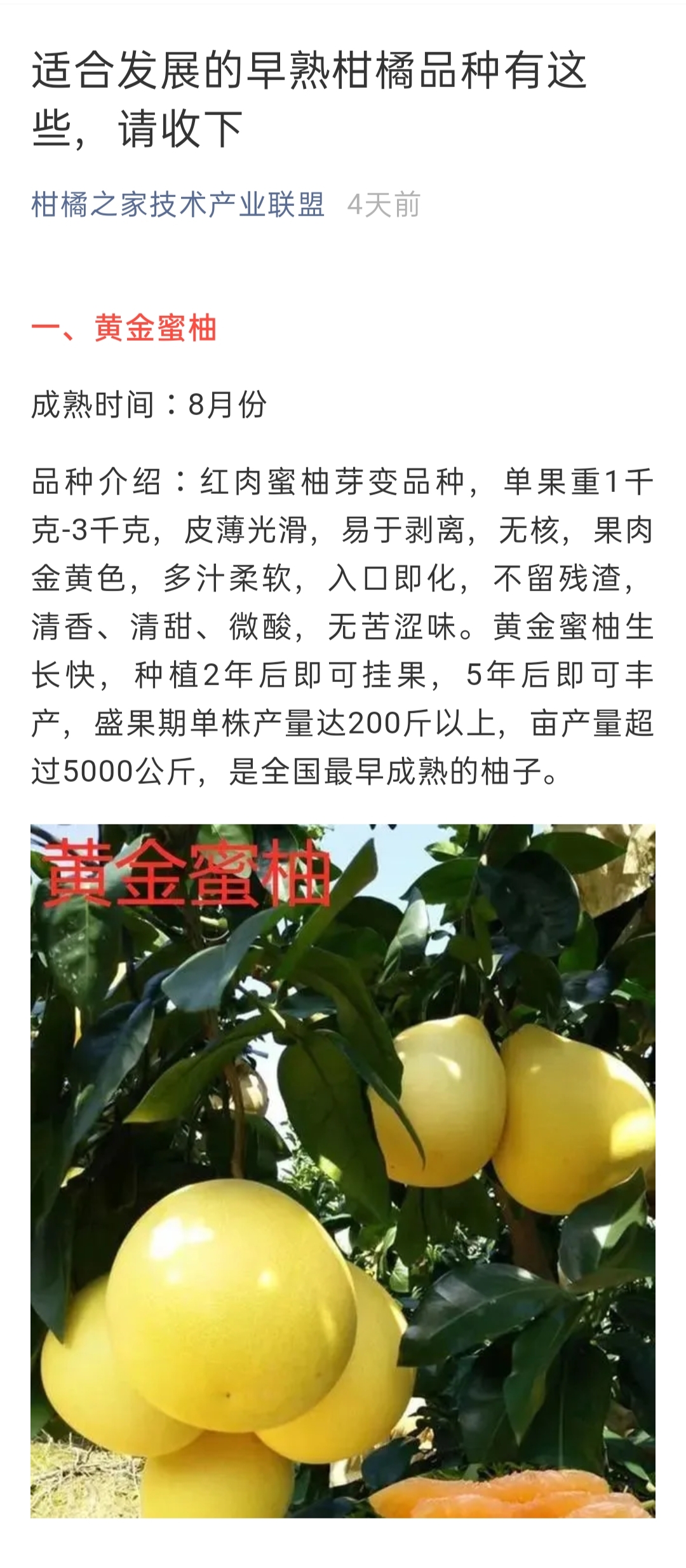 網(wǎng)站公告