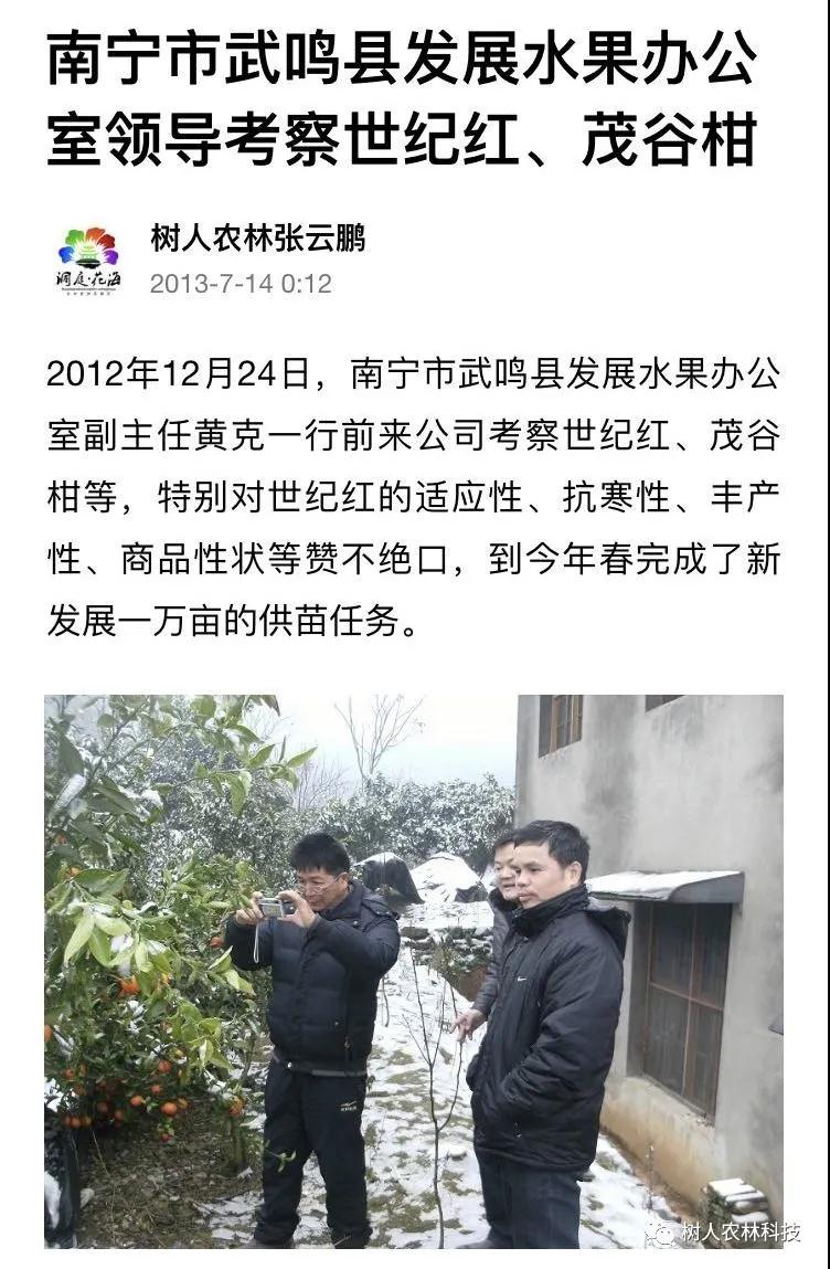 湖南樹人農(nóng)林科技有限公司,湖南柑橘品種銷售,中國果樹網(wǎng),常綠果樹類哪里好