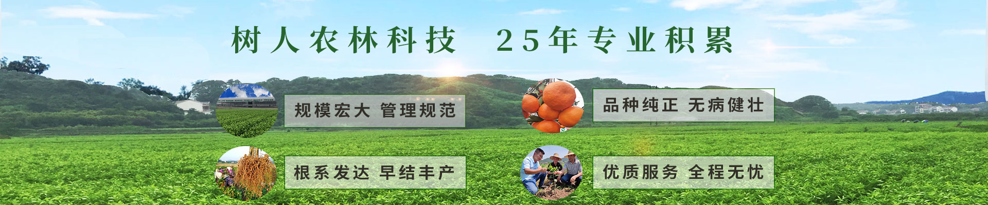 湖南樹人農(nóng)林科技有限公司_樹人農(nóng)林丨樹人農(nóng)業(yè)丨農(nóng)業(yè)科技丨現(xiàn)代農(nóng)業(yè)丨柑橘丨柑橘苗木丨果樹苗木丨綠化苗木丨種子種苗丨田園綜合體丨鄉(xiāng)村旅游丨觀光休閑等